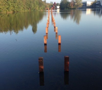 Aanleg loopsteiger met kunststof dek in een natuurgebied